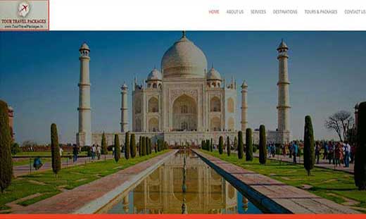 Tour Travel Dynamic Website developer in south Delhi